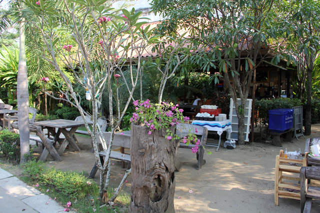 Thai Food