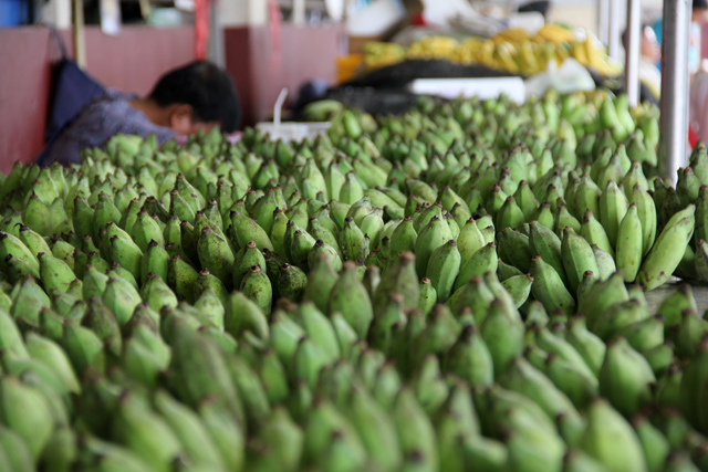 Burro Banana