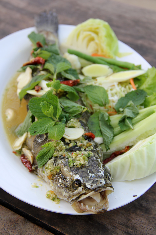 Pla Chon Lui Suan (ปลาช่อนลุยสวน)