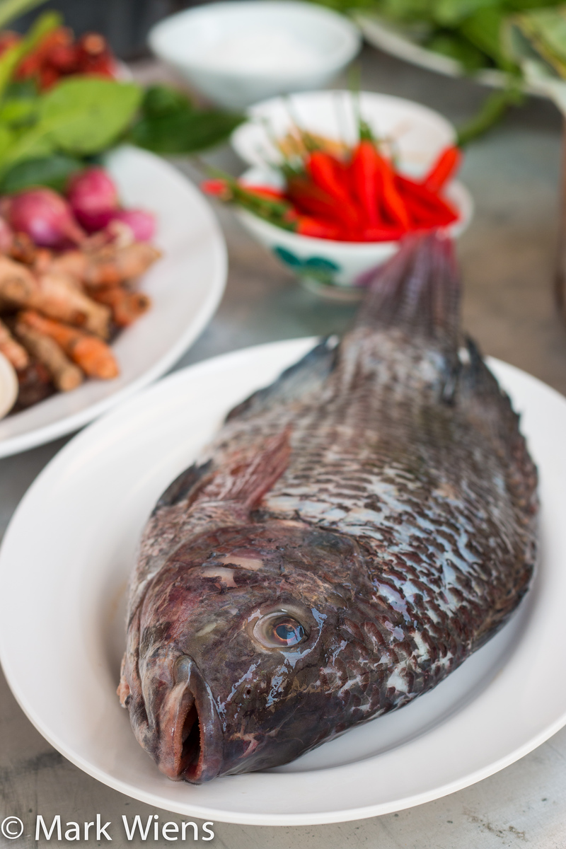 Tilapia recipes