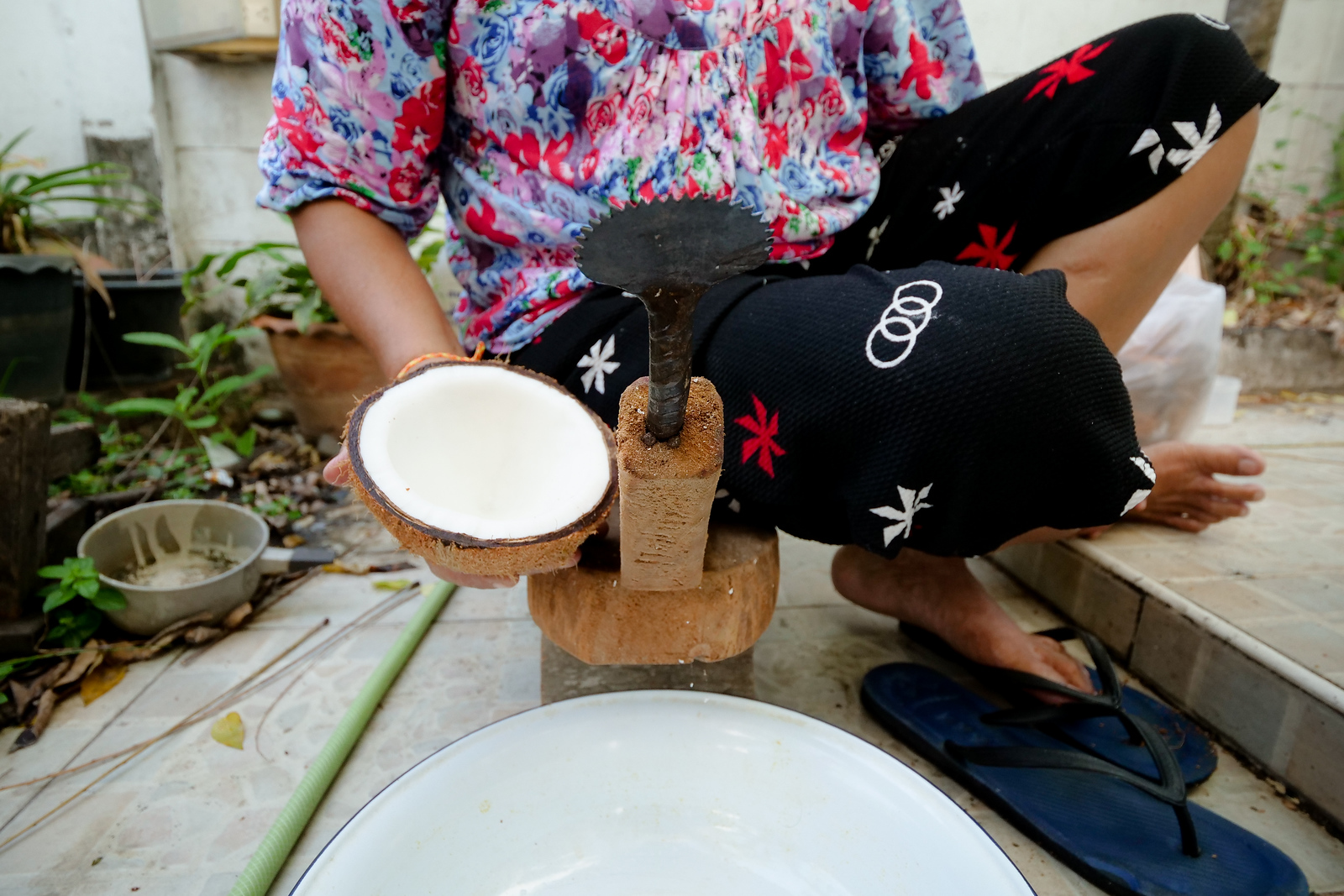 coconut scraper