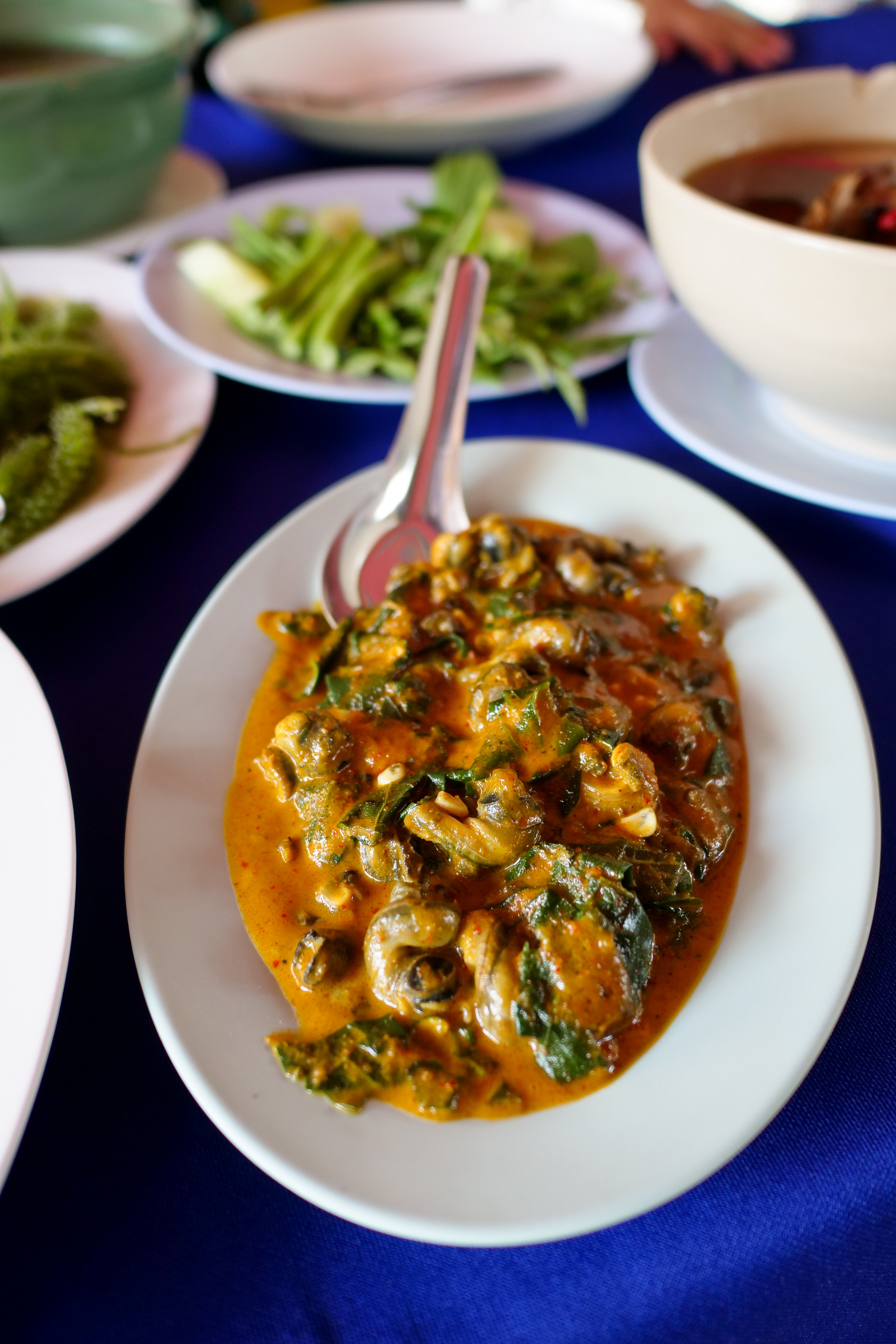 Thai curry