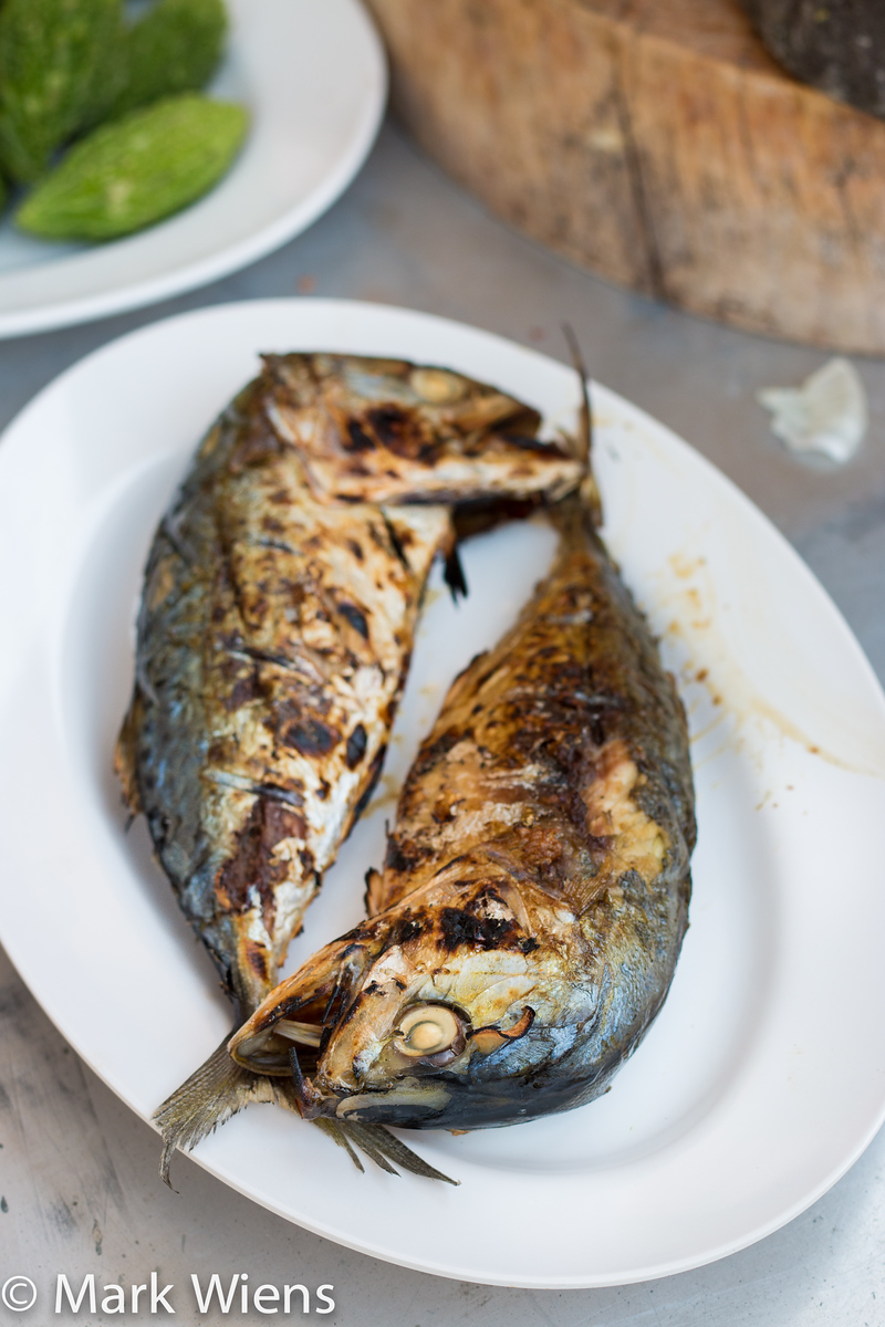 short mackerel