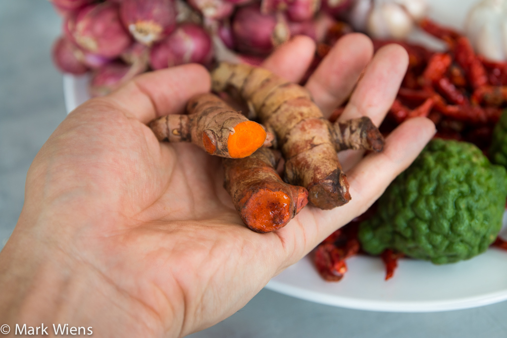 turmeric rhizome