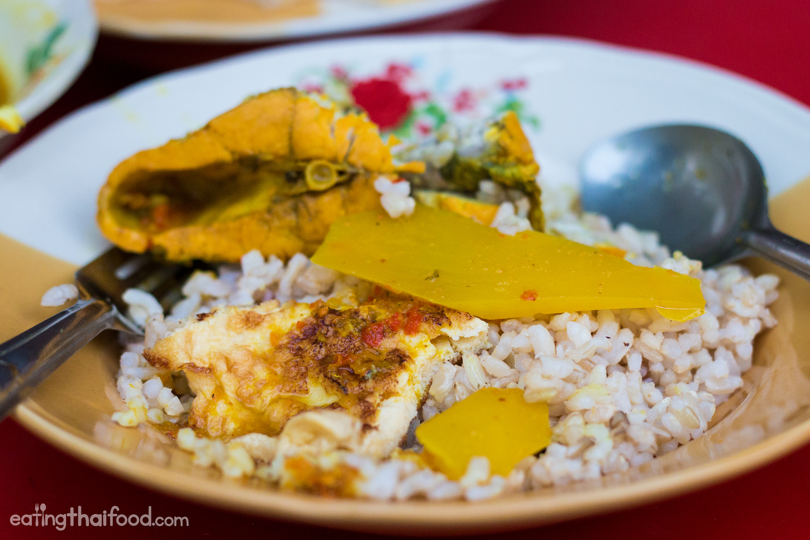 Thai recipes