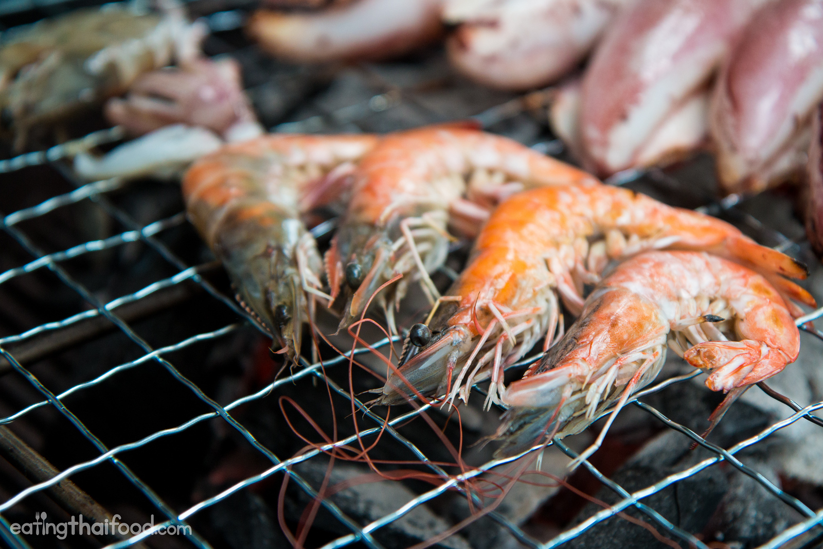 Shrimp