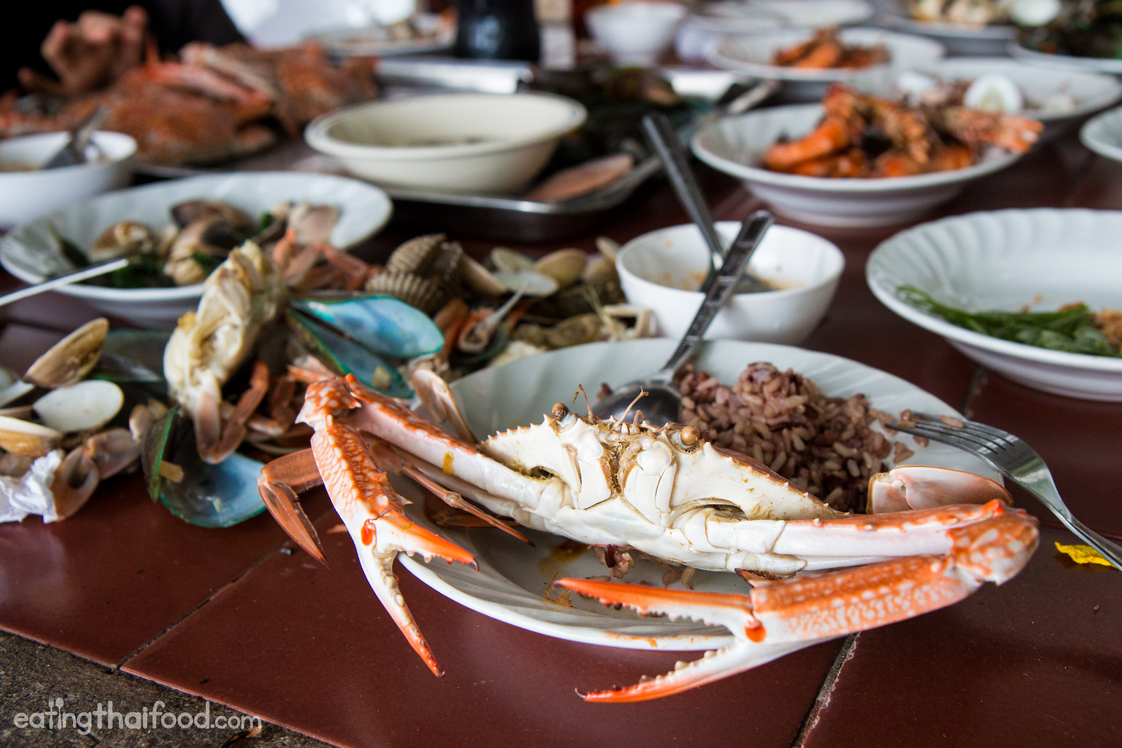 ปูม้า