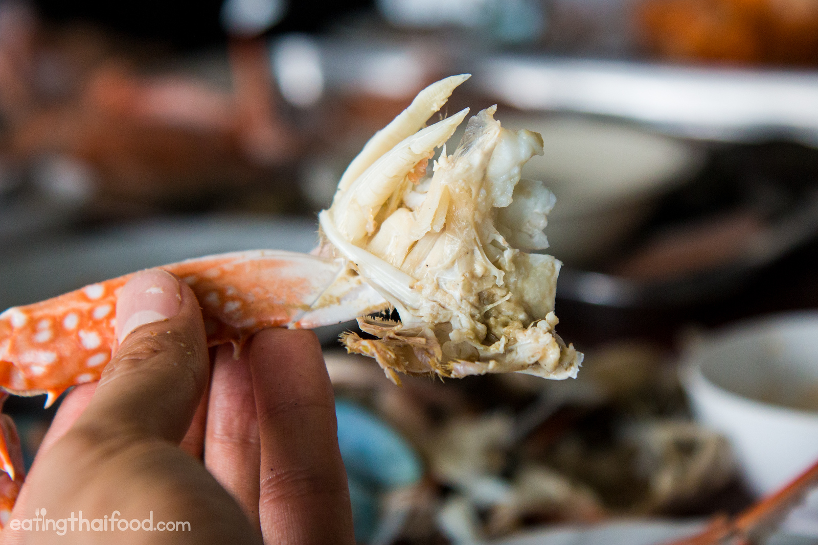 Thai seafood