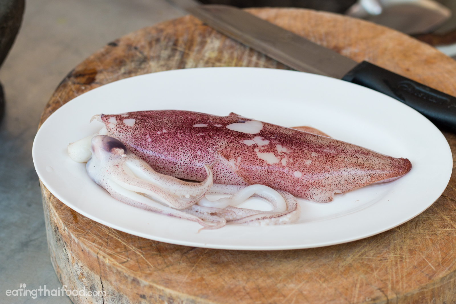 Thai squid recipes