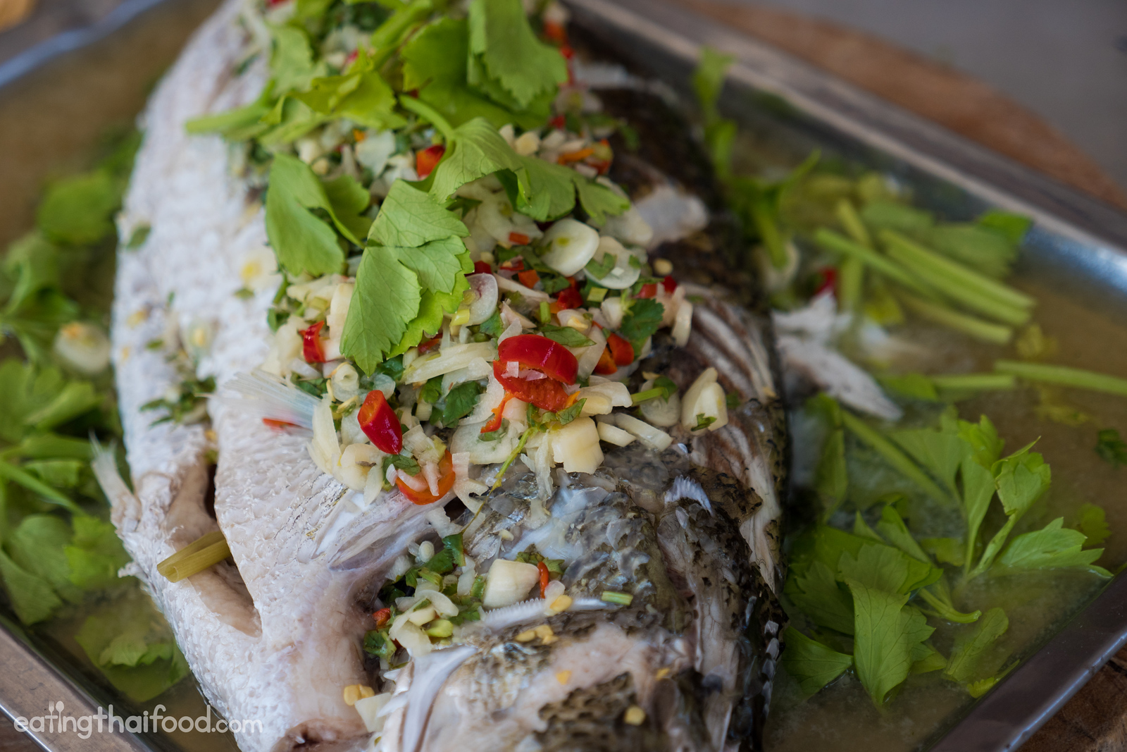 Thai recipes