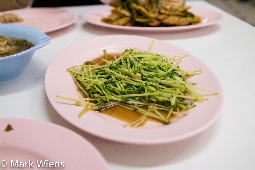 sunflower sprouts